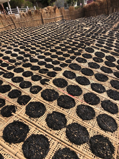 Chenghai Laiwu wild head soaked seaweed (1 catties)
