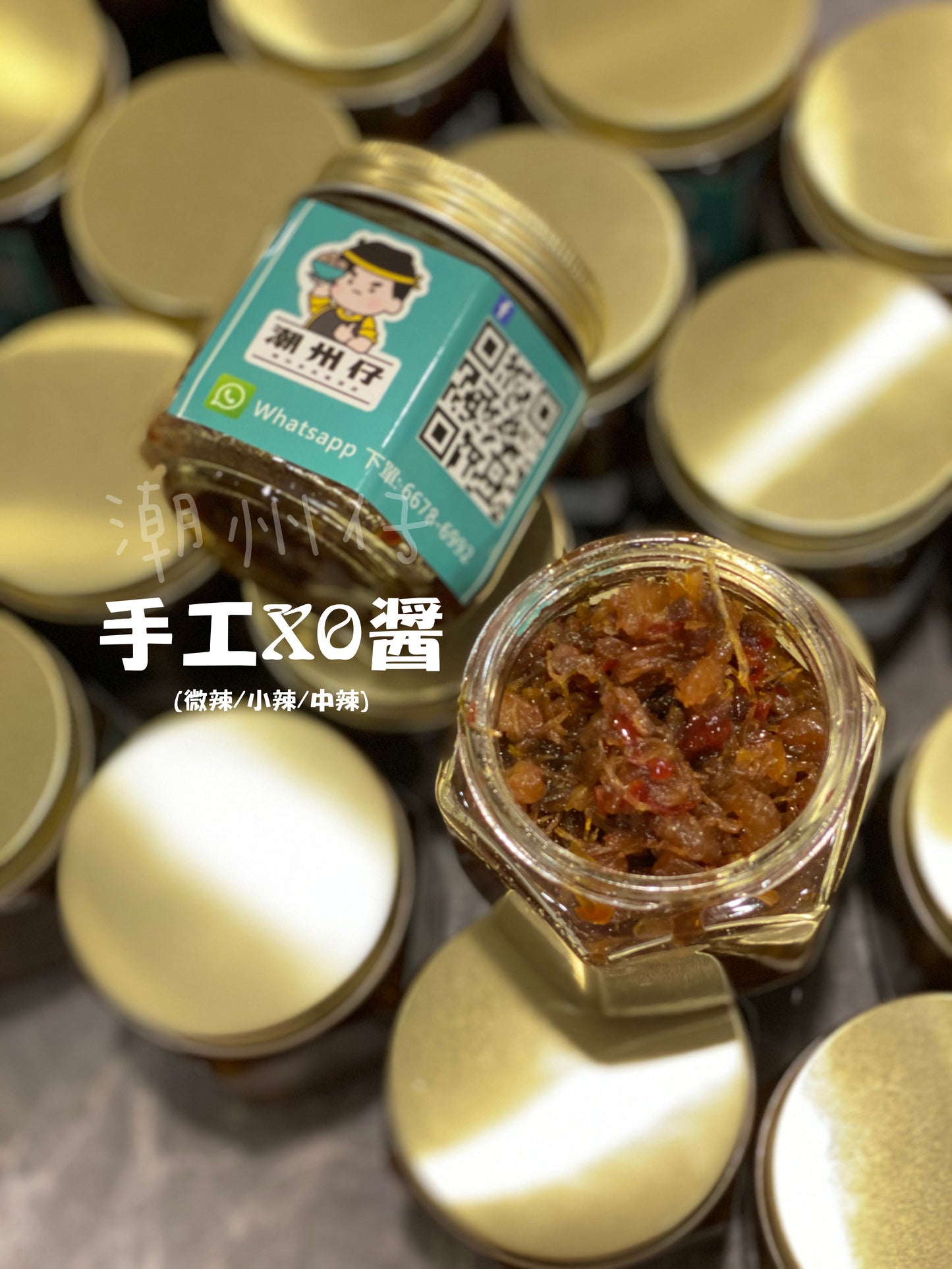 Teochew Handmade XO Sauce (Medium Spicy)